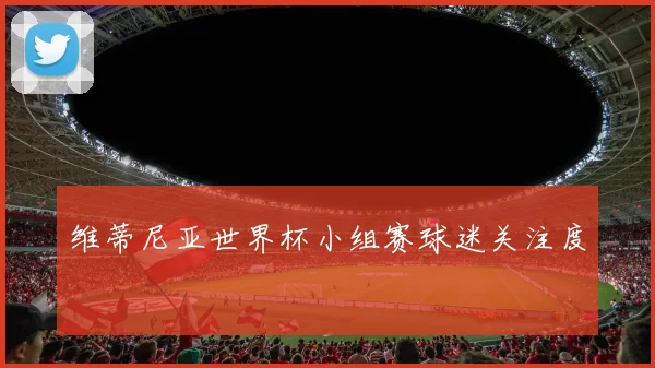 维蒂尼亚世界杯小组赛球迷关注度