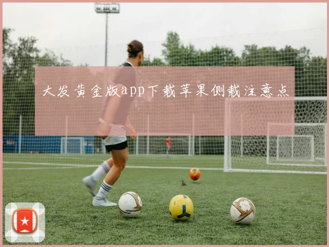 大发黄金版app下载苹果侧载注意点
