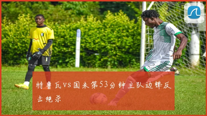 特鲁瓦vs国米第53分钟主队边锋反击绝杀