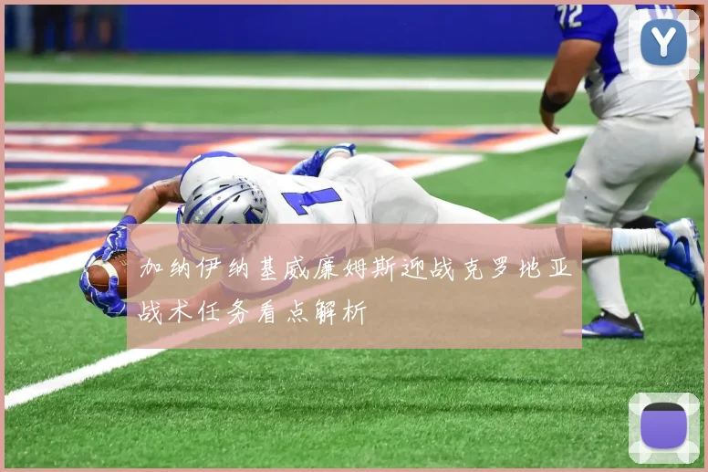 加纳伊纳基威廉姆斯迎战克罗地亚战术任务看点解析