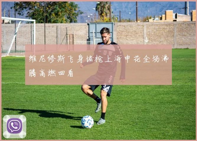 维尼修斯飞身堵枪上海申花全场沸腾高燃回看